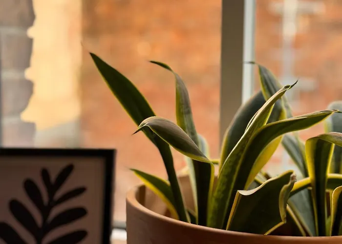 Lägenhet Stare Centrum Starogard Gdański